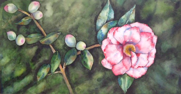 Camellia 2